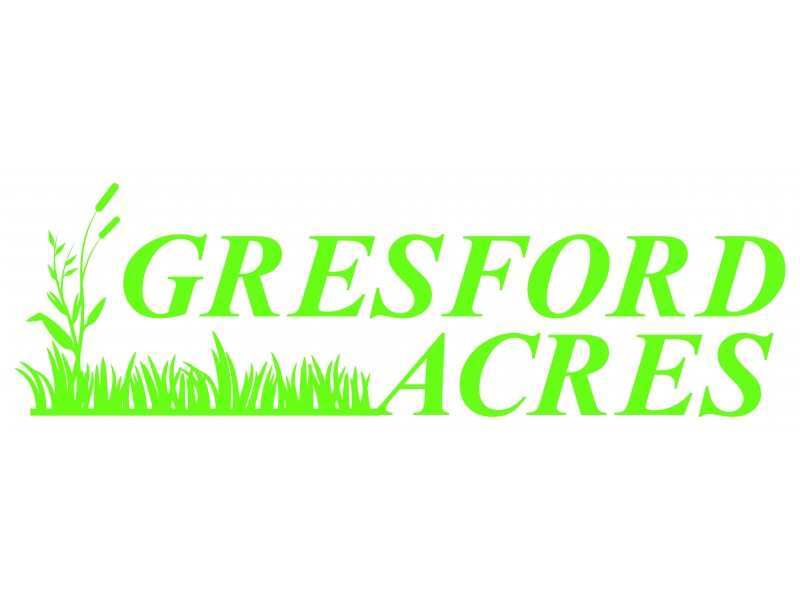 11 Ned Place, Gresford NSW 2311
