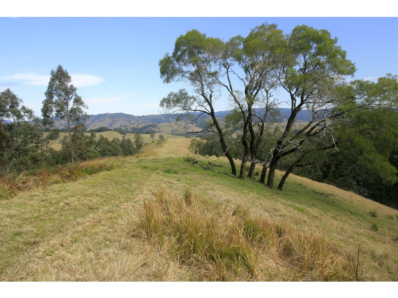 3296 Allyn River Road, Eccleston Via, East Gresford NSW 2311