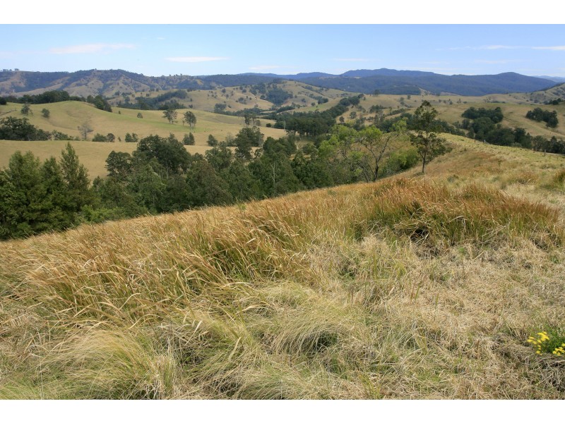 3296 Allyn River Road, Eccleston Via, East Gresford NSW 2311