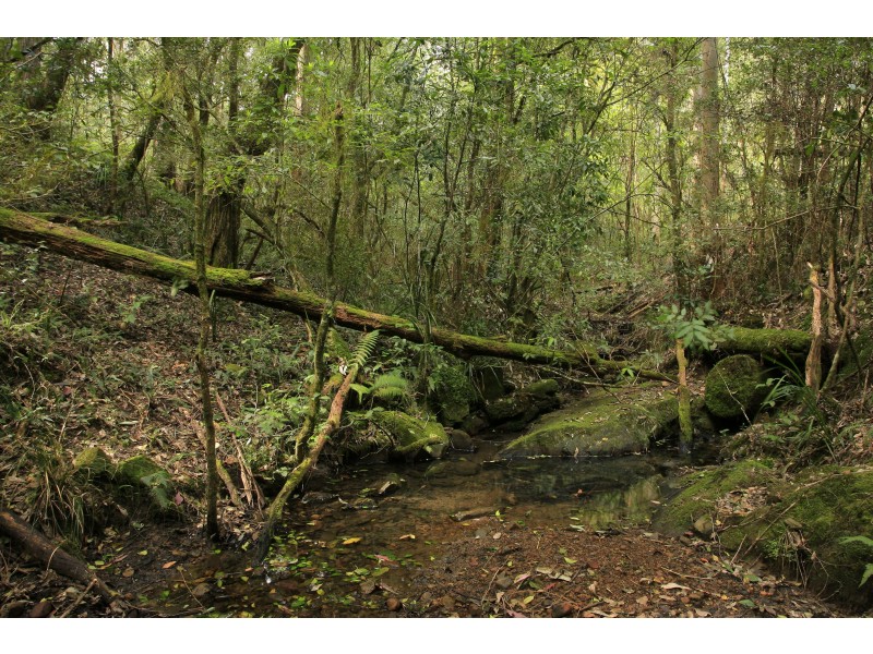 3296 Allyn River Road, Eccleston Via, East Gresford NSW 2311