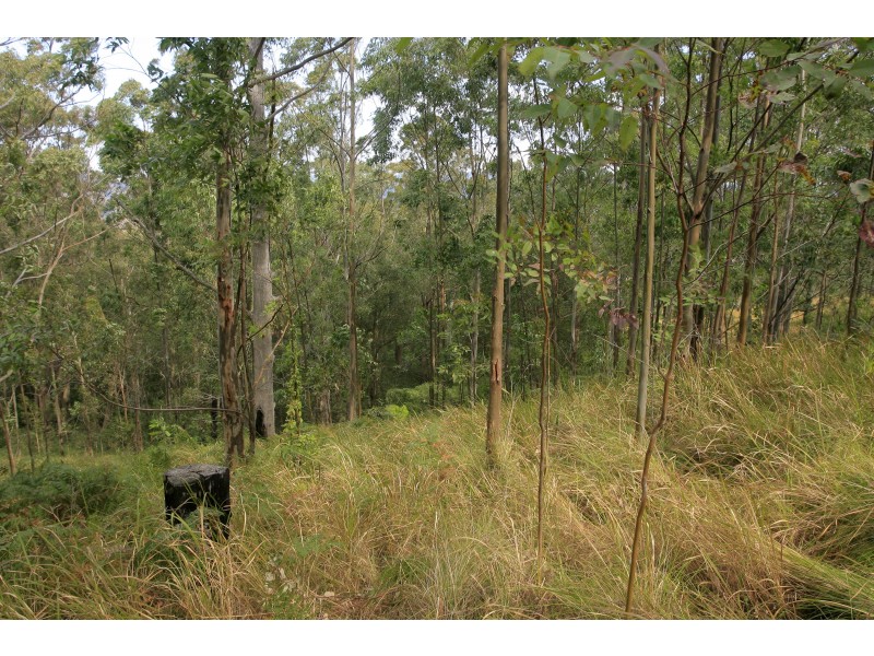 3296 Allyn River Road, Eccleston Via, East Gresford NSW 2311