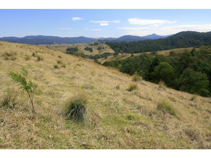 3296 Allyn River Road, Eccleston Via, East Gresford NSW 2311