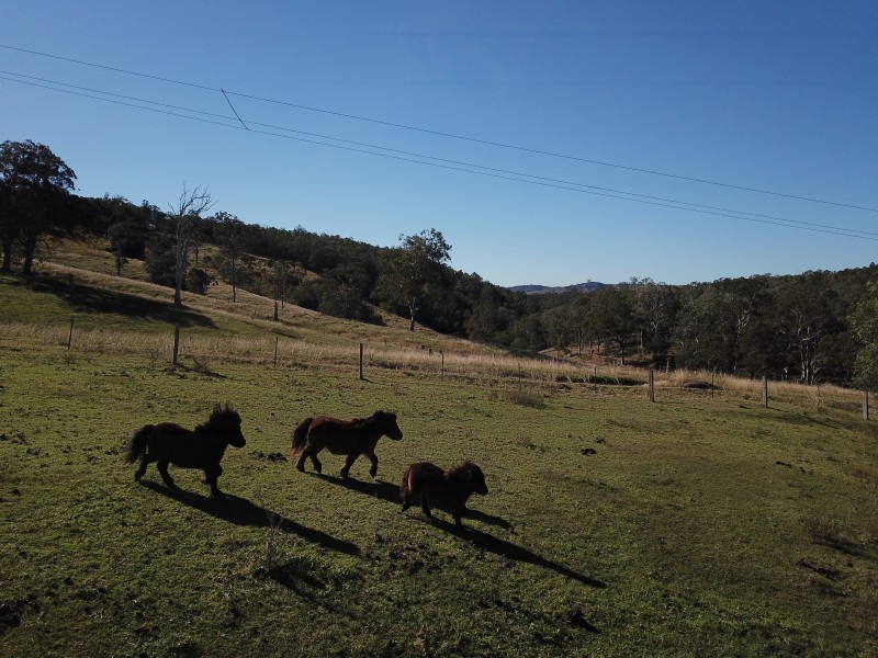 272 Common Road, Dungog NSW 2420