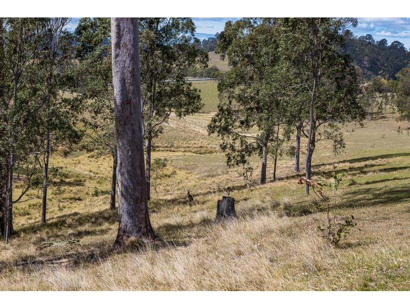 80 Cemetery Road, Dungog NSW 2420