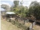 80 Cemetery Road, Dungog NSW 2420