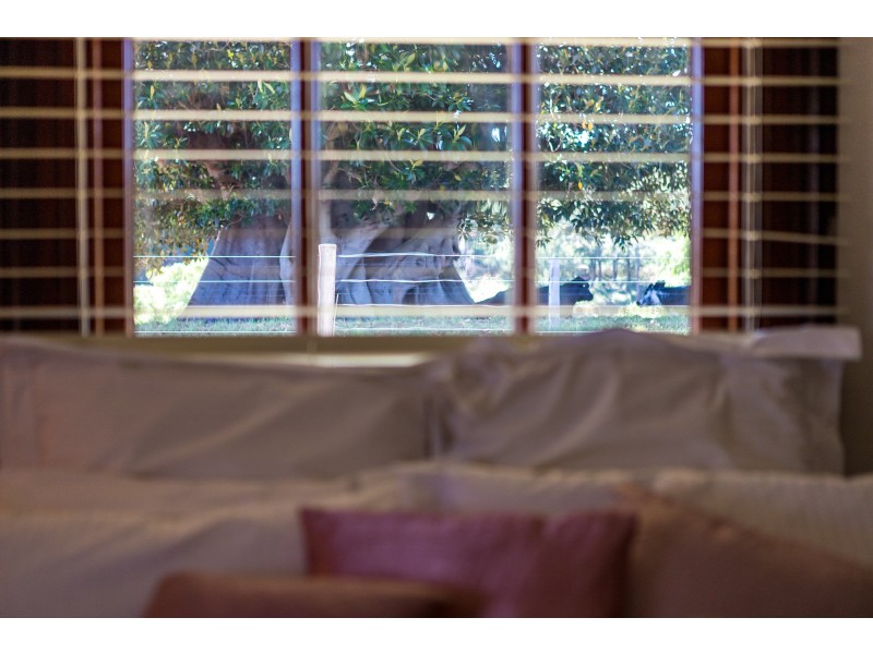 233 Oakhampton Road, OAKHAMPTON Via, Maitland NSW 2320