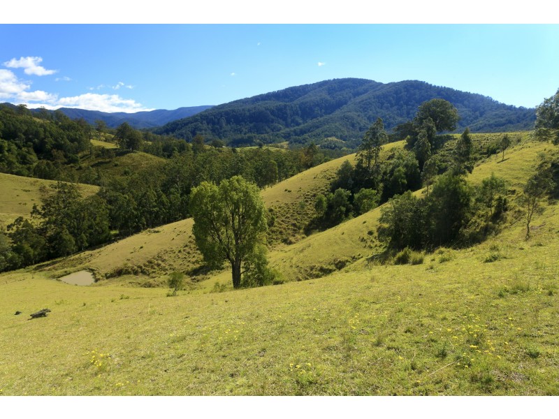 32 Longbottoms Road, Chichester Via, Dungog NSW 2420