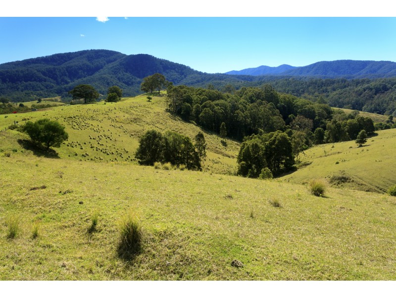 32 Longbottoms Road, Chichester Via, Dungog NSW 2420