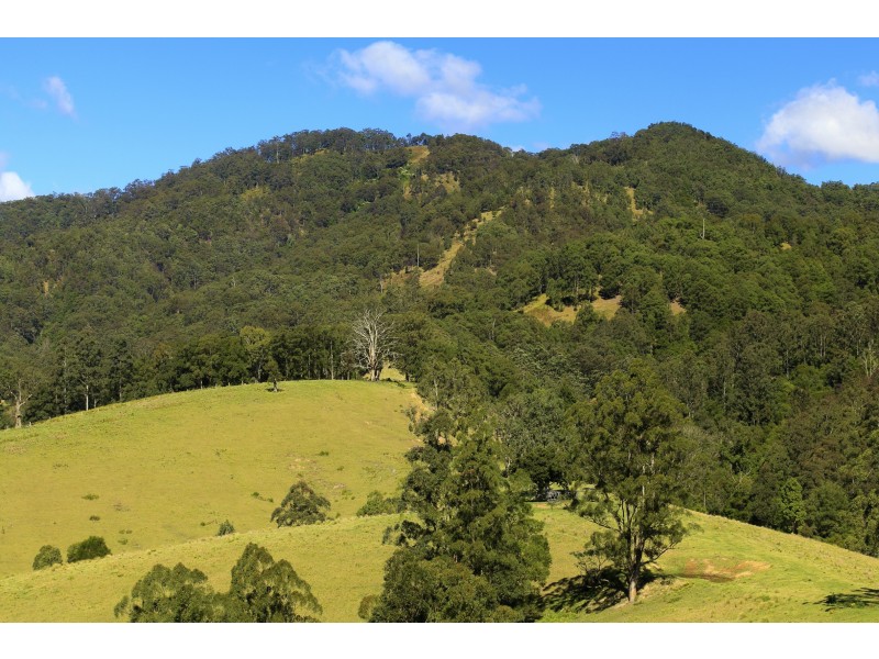 32 Longbottoms Road, Chichester Via, Dungog NSW 2420