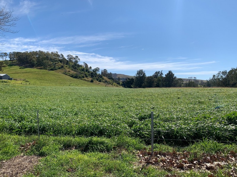 2655 Glendonbrook Road, Gresford NSW 2311