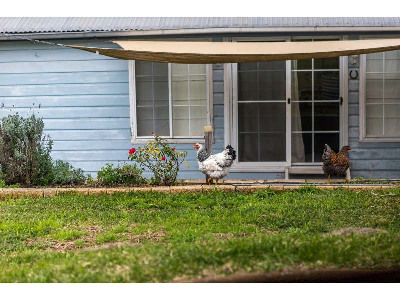 2655 Glendonbrook Road, Gresford NSW 2311