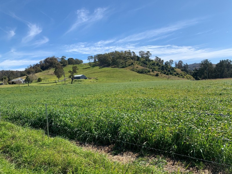 2655 Glendonbrook Road, Gresford NSW 2311