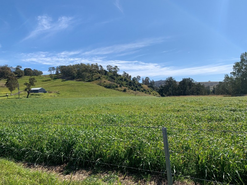 2655 Glendonbrook Road, Gresford NSW 2311