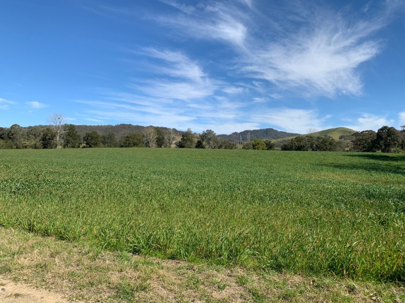 2655 Glendonbrook Road, Gresford NSW 2311