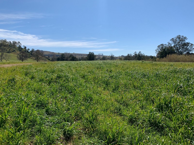 2655 Glendonbrook Road, Gresford NSW 2311