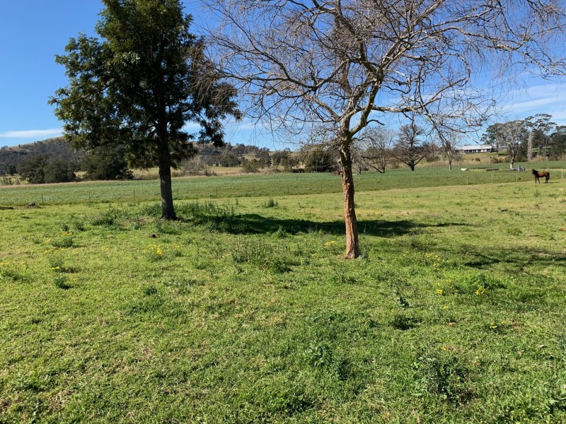 2655 Glendonbrook Road, Gresford NSW 2311