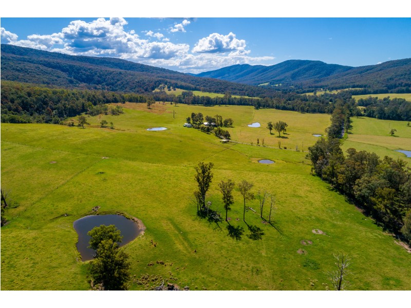 427 Main Creek Road, Dungog NSW 2420