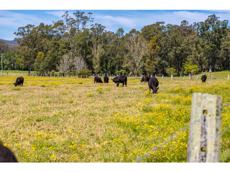 427 Main Creek Road, Dungog NSW 2420