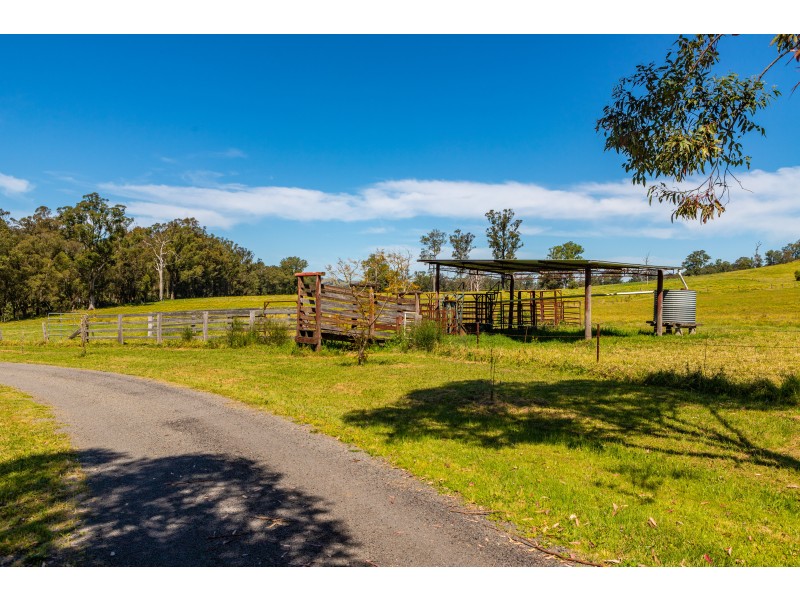 427 Main Creek Road, Dungog NSW 2420
