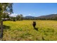 427 Main Creek Road, Dungog NSW 2420