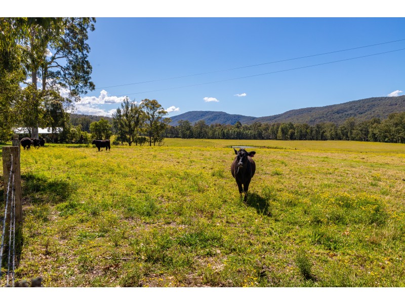 427 Main Creek Road, Dungog NSW 2420