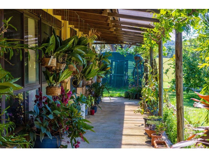 427 Main Creek Road, Dungog NSW 2420