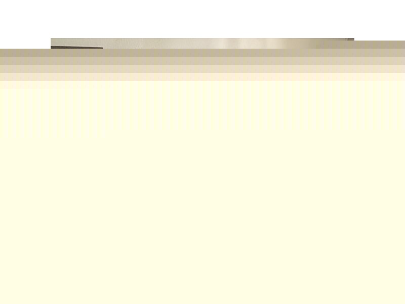 4/262 Dowling Street, Dungog NSW 2420