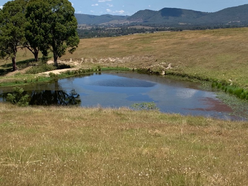 1/76 Paterson River Road, Gresford NSW 2311