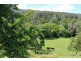 227 Moylans Road, Dungog NSW 2420