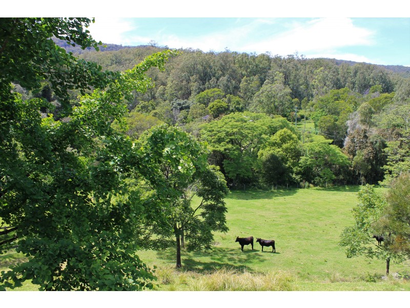 227 Moylans Road, Dungog NSW 2420