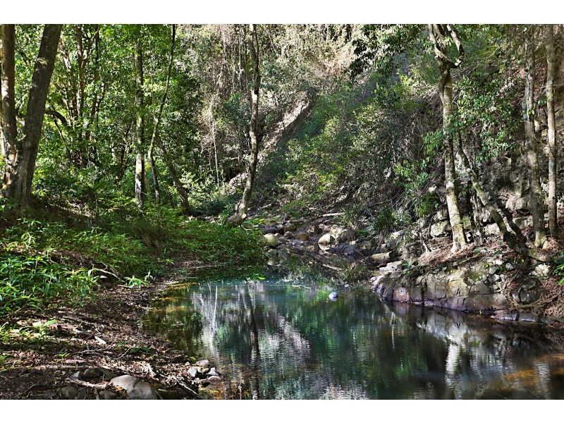 227 Moylans Road, Dungog NSW 2420