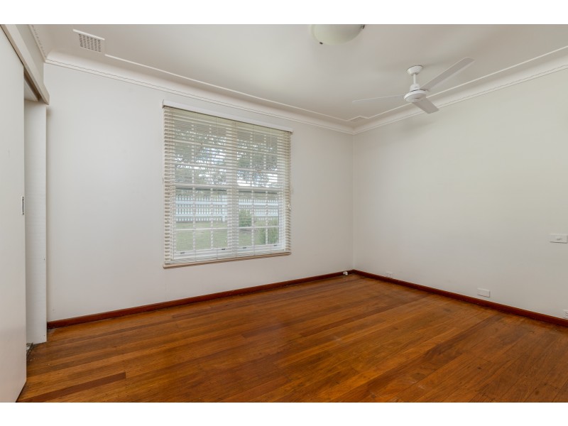 Dungog NSW 2420