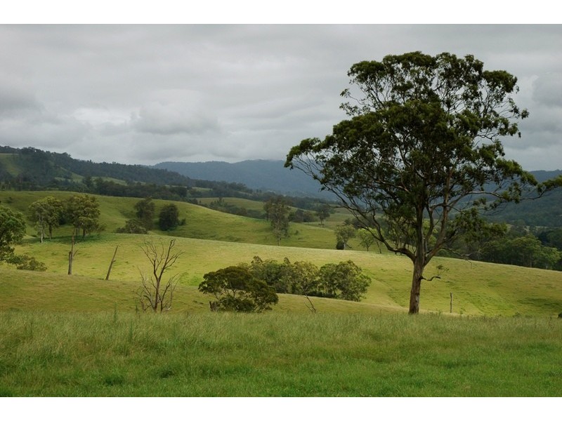 2209 Allyn River Road, Eccleston Via, Gresford NSW 2311