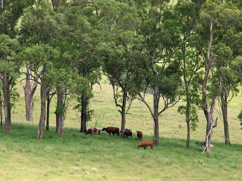 2209 Allyn River Road, Eccleston Via, Gresford NSW 2311