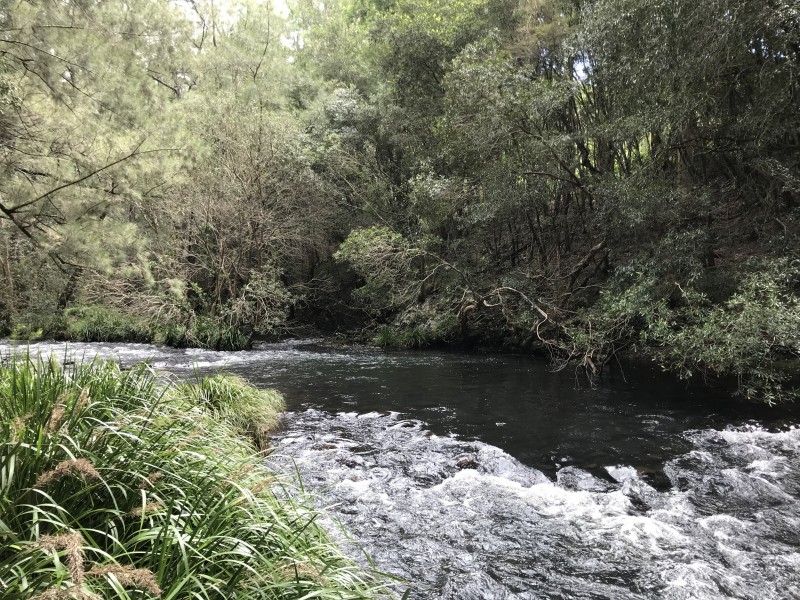 Lot 33 Upper Monkerai Road, Dungog NSW 2420