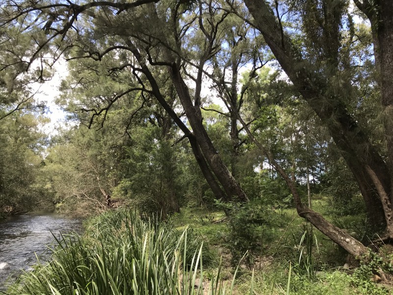 Lot 33 Upper Monkerai Road, Dungog NSW 2420