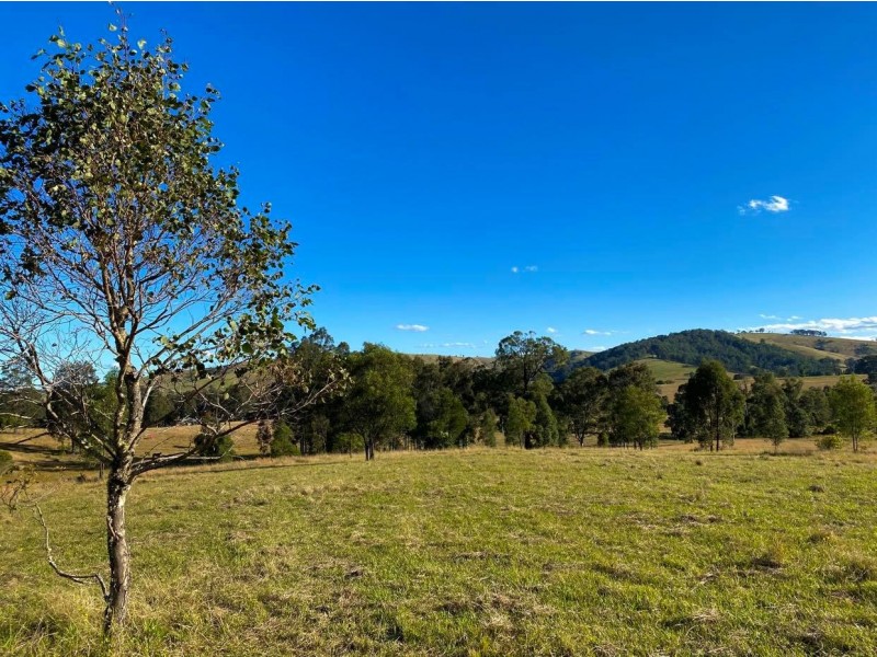 664 Chichester Dam Road, Bendolba Via, Dungog NSW 2420