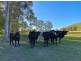 664 Chichester Dam Road, Bendolba Via, Dungog NSW 2420