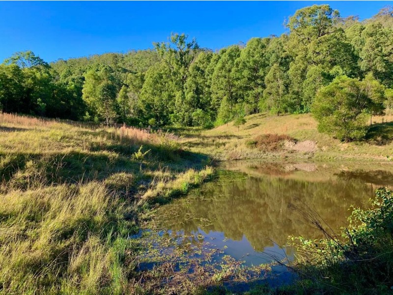 664 Chichester Dam Road, Bendolba Via, Dungog NSW 2420