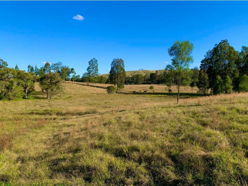 664 Chichester Dam Road, Bendolba Via, Dungog NSW 2420