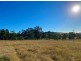664 Chichester Dam Road, Bendolba Via, Dungog NSW 2420