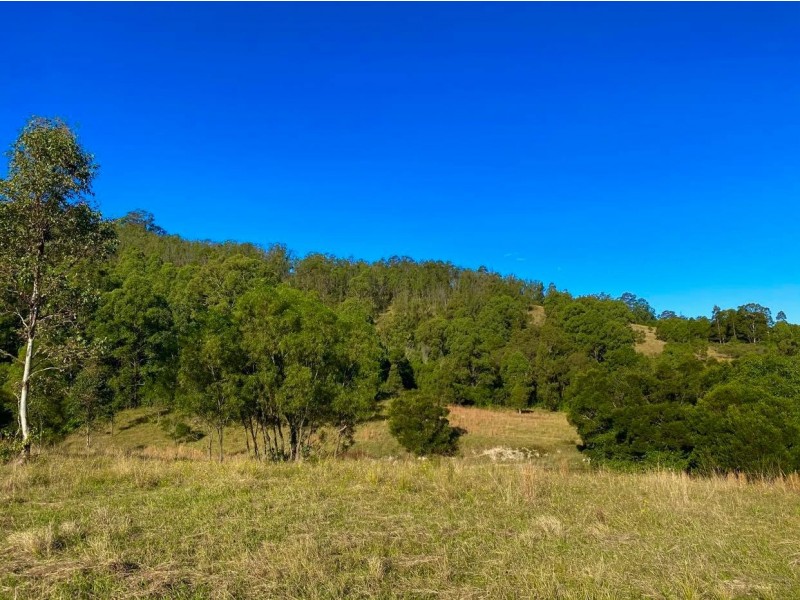 664 Chichester Dam Road, Bendolba Via, Dungog NSW 2420