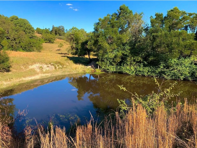 664 Chichester Dam Road, Bendolba Via, Dungog NSW 2420