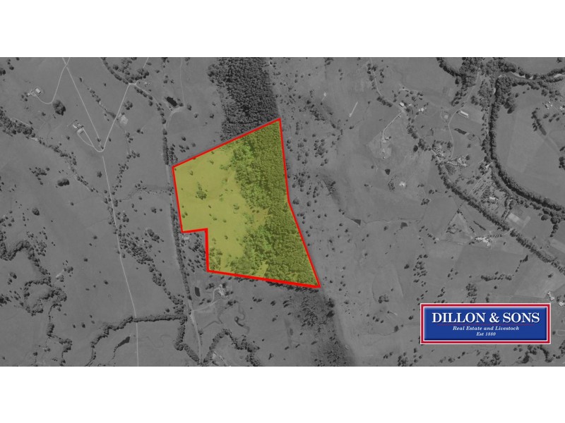 664 Chichester Dam Road, Bendolba Via, Dungog NSW 2420