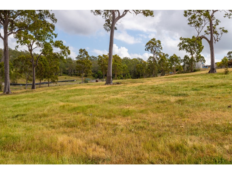 Dungog NSW 2420