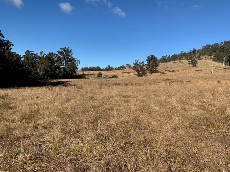 Lot 3 Majors Creek Road, Dungog NSW 2420