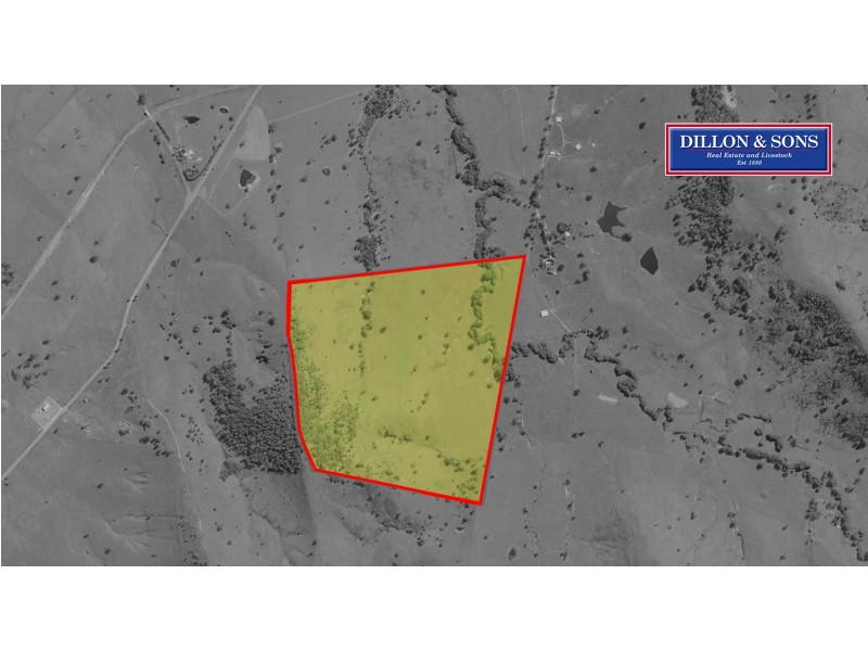 Lot 3 Majors Creek Road, Dungog NSW 2420