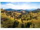 121/235 Myall Creek Road, Munni Via, Dungog NSW 2420