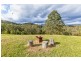 10/1953 Chichester Dam Road, Bandon Grove Via, Dungog NSW 2420