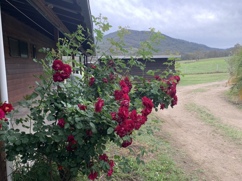 Vacy NSW 2421